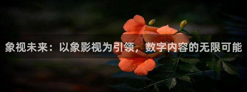 午夜影院在线影院